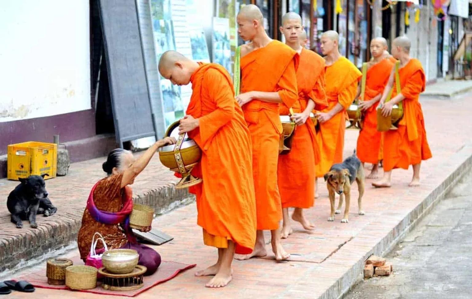 monjes de Luang Prabang por la mañana