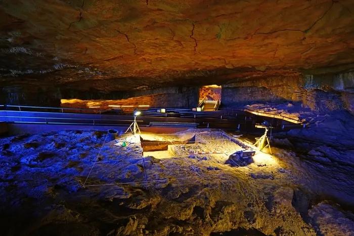 Cómo Visitar Cuevas de Altamira