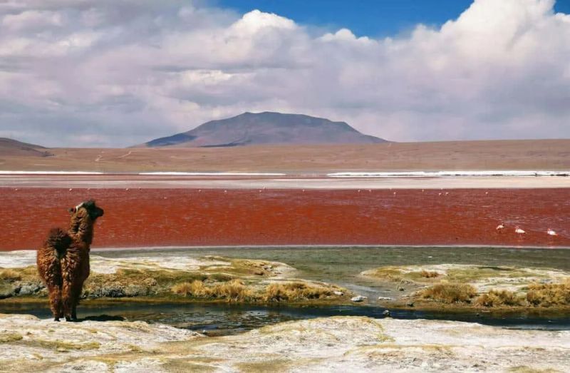 Que visitar en Bolivia: 10 lugares que quieres conocer