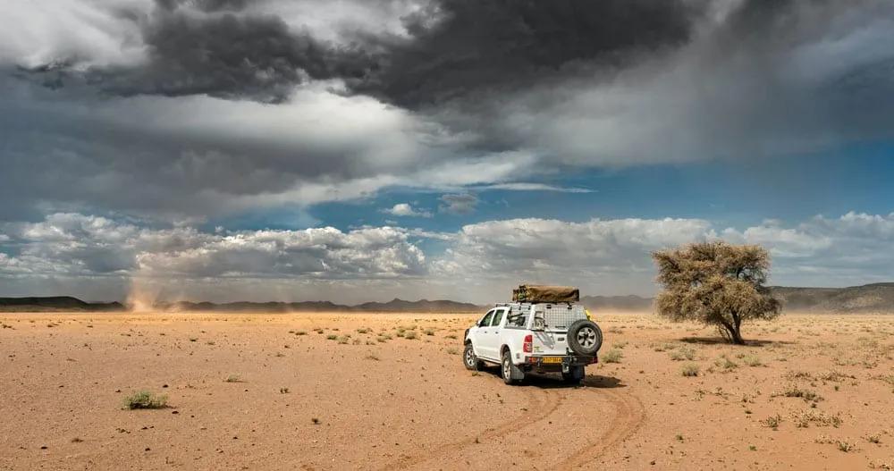 seguro para safari
