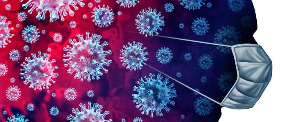 coronavirus felino y canino