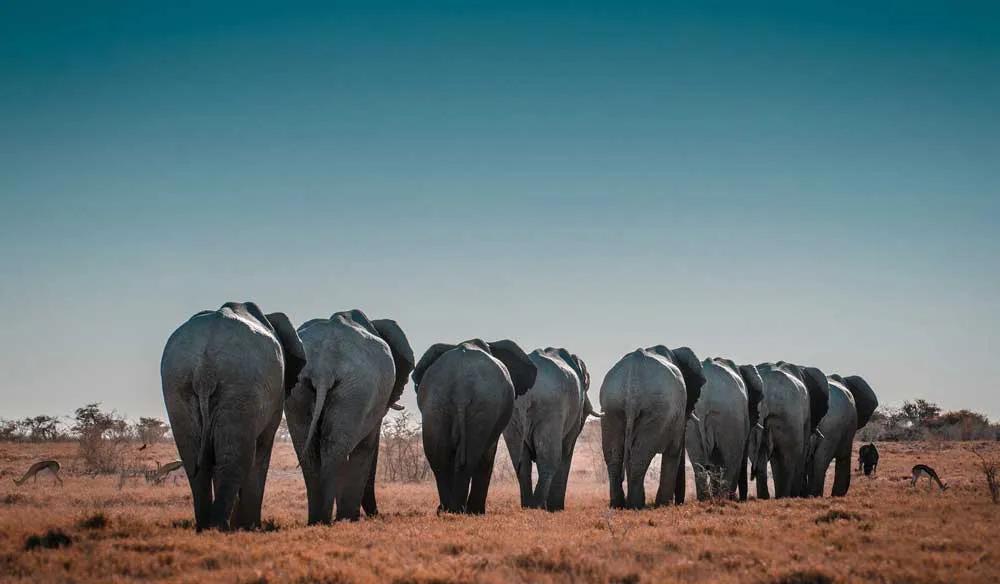 qué ver en Namibia