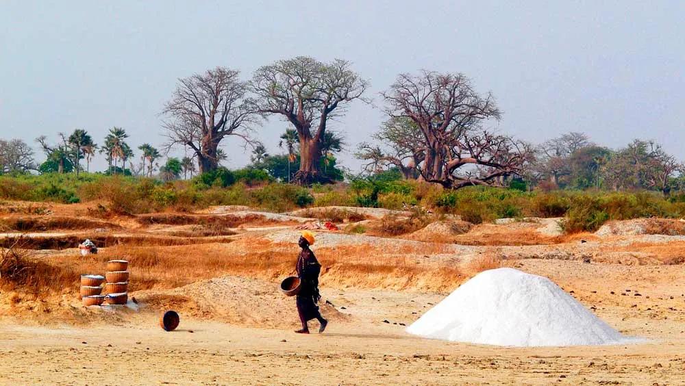 seguro de viaje a Senegal