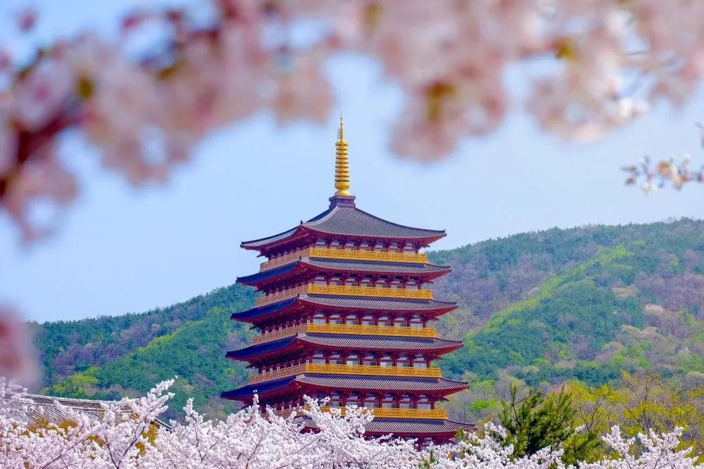 Gyeongju y sus templos