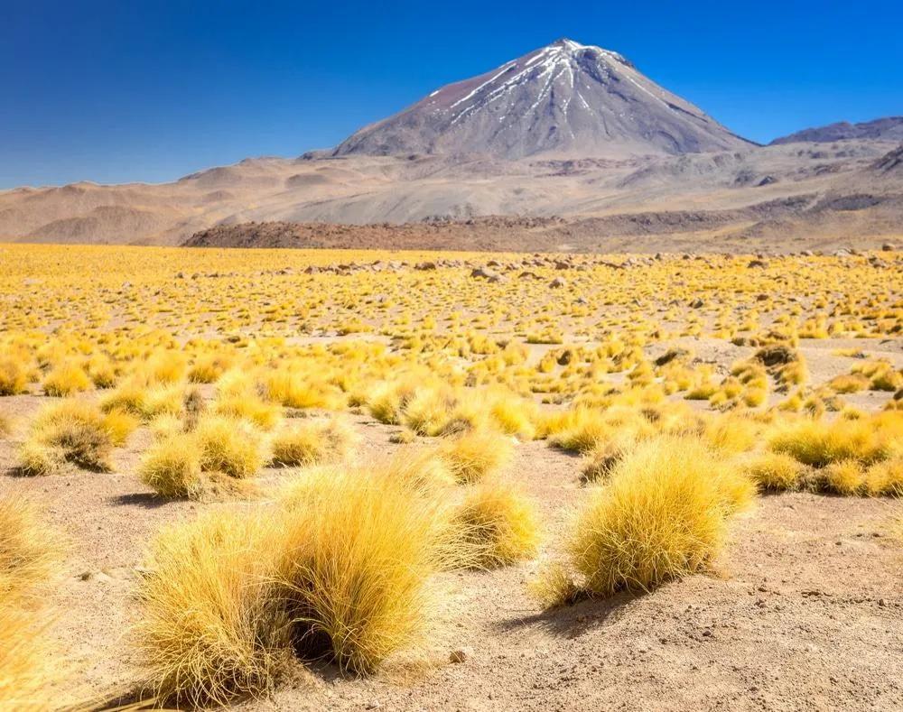 visitar Atacama