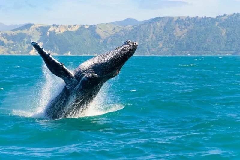 Ruta por Nueva Zelanda de 18 días en autocaravana