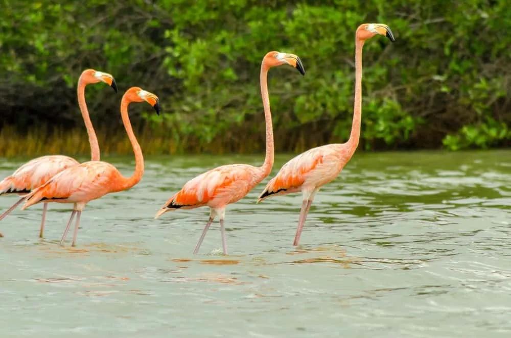 visitar la Guajira en Colombia