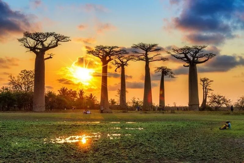 Itinerario de viaje a Madagascar de 15 días