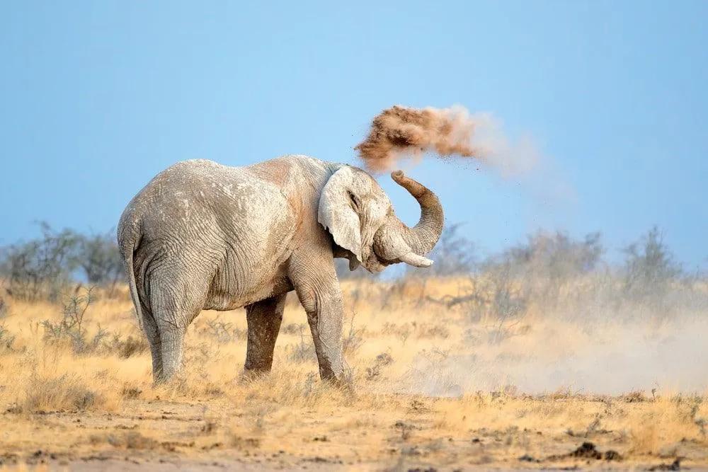 turismo con animales