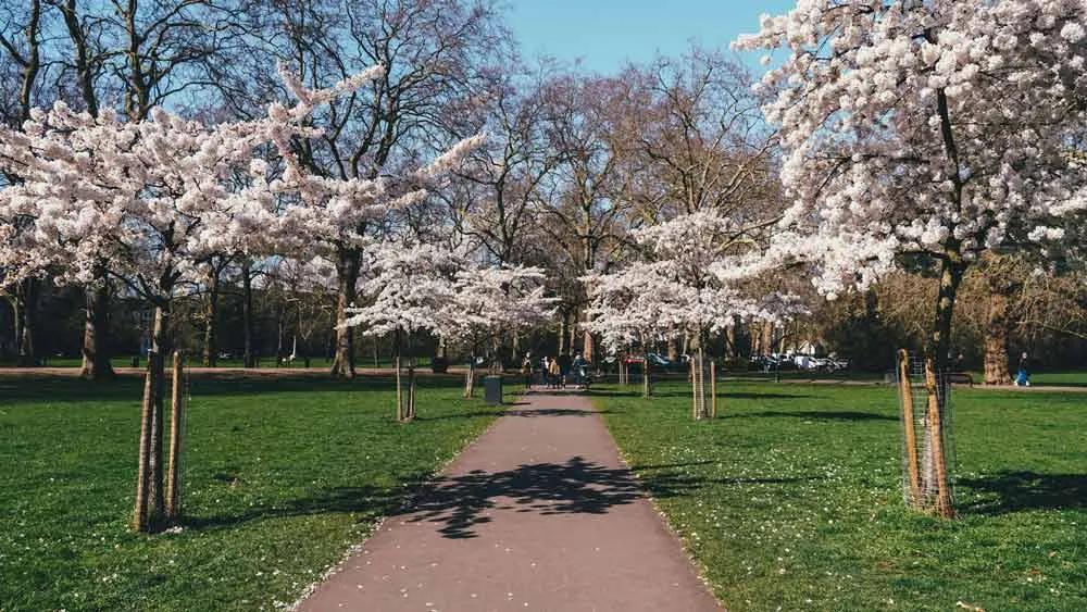 Mejor época para viajar a Londres