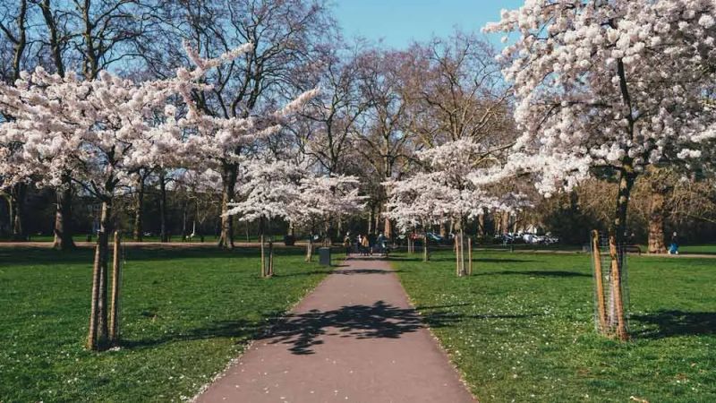 ¿Cuándo viajar a Londres? – Mejor época por clima y eventos