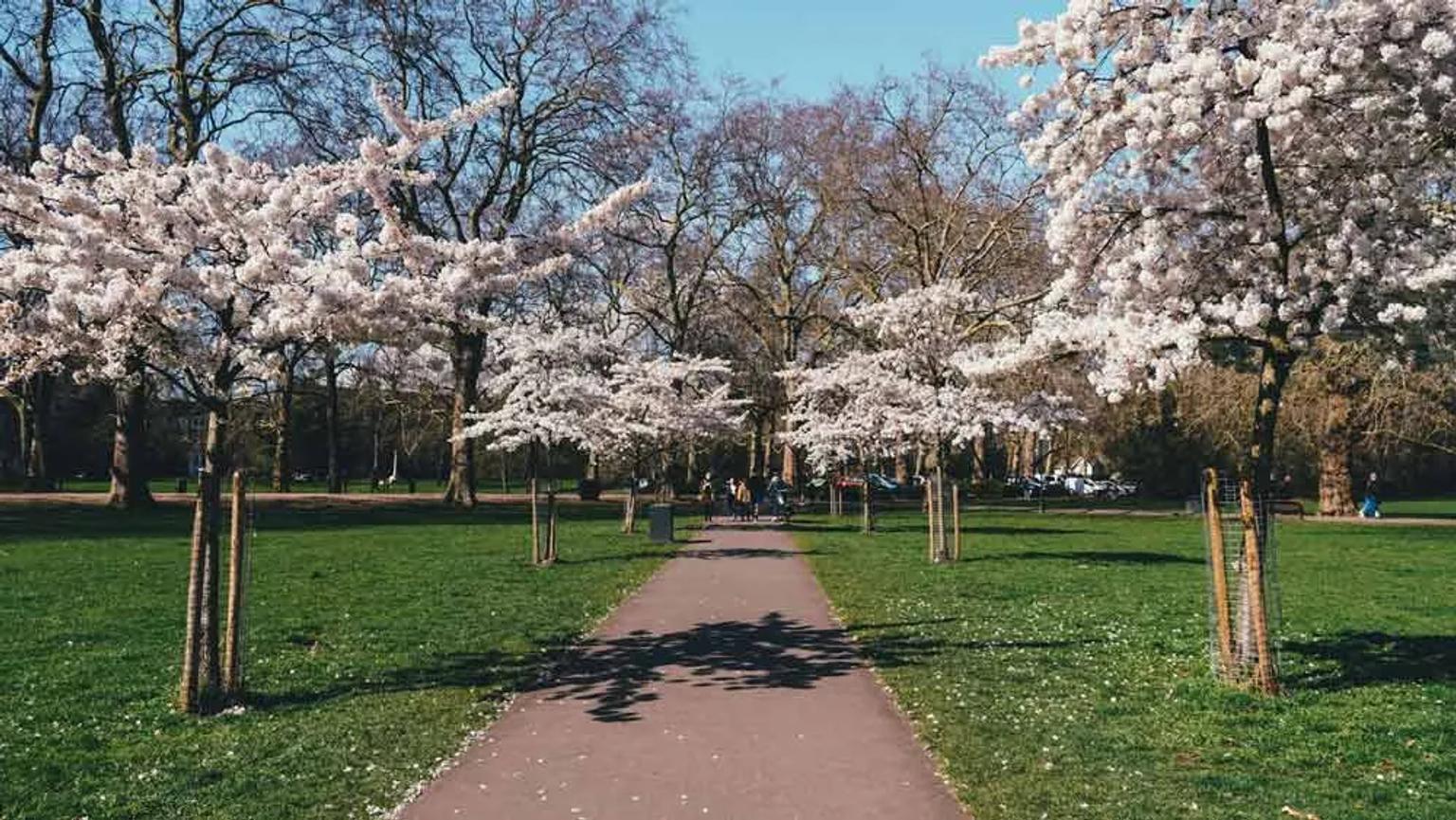 Mejor época para viajar a Londres