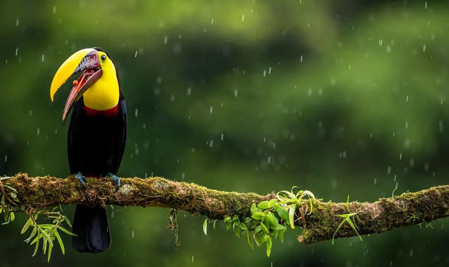Seguro de viaje a Costa Rica