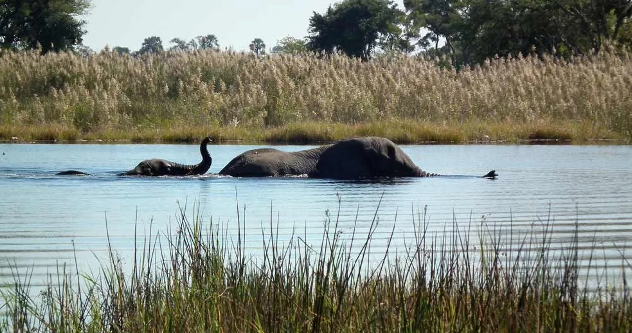 cruzar a Botsuana desde Namibia