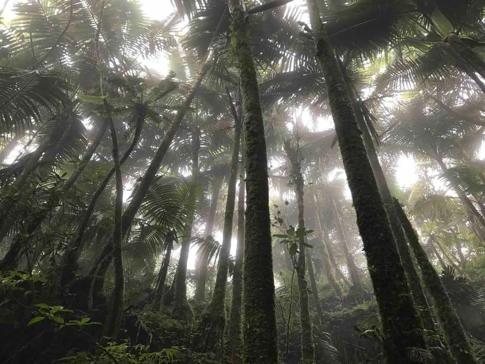 deportes de aventura en Puerto Rico
