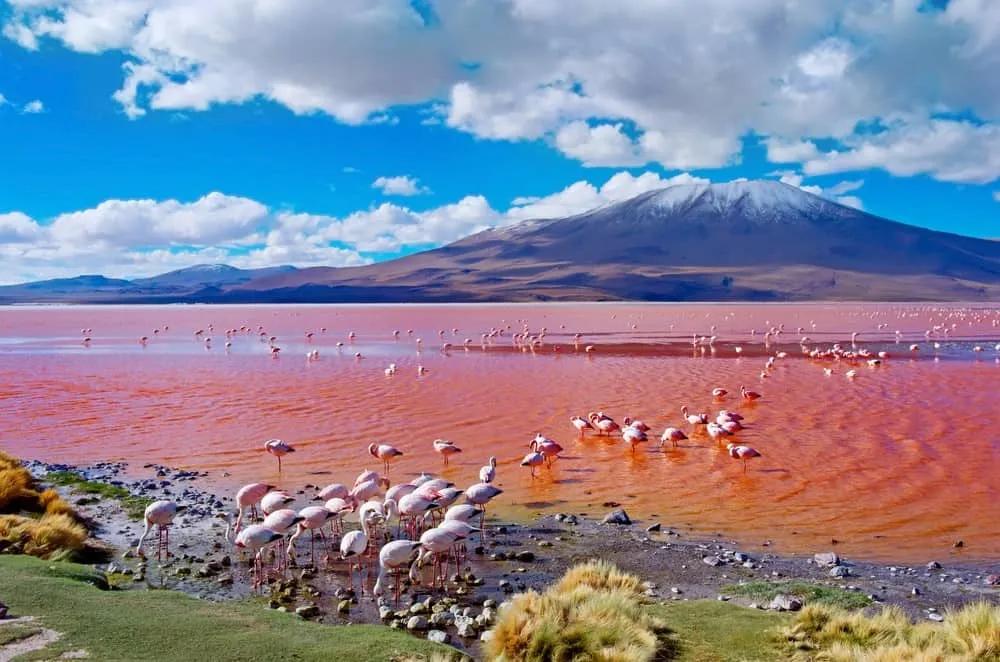 que hacer en Salar de Uyuni