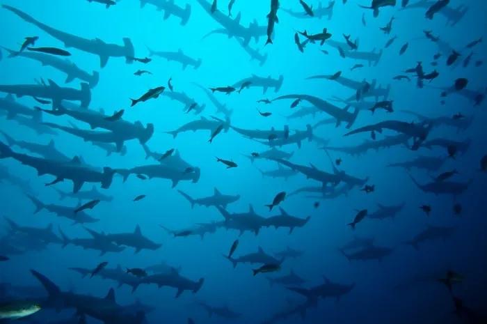 Islas Galapagos
