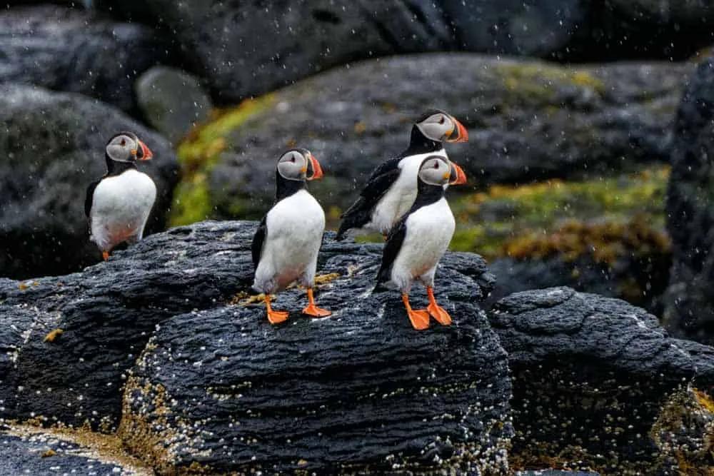 Podcast: Viajar a Islandia