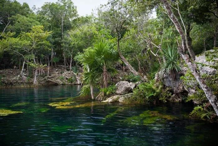 mejores cenotes de Riviera Maya