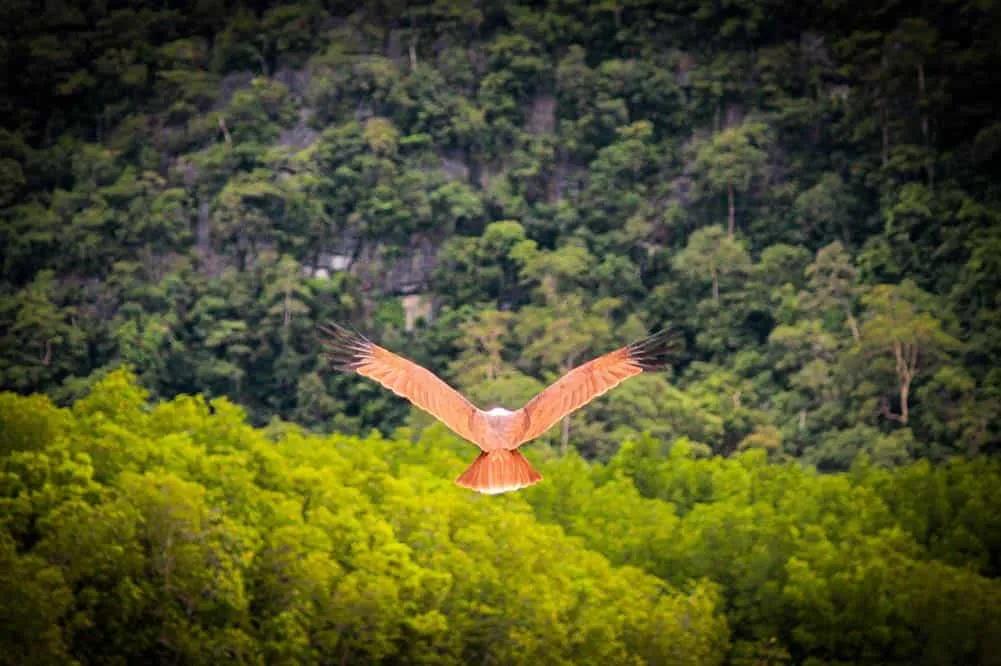 Qué hacer Langkawi
