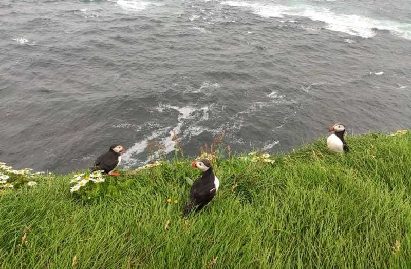 Qué ver en Islandia, 10 imprescindibles