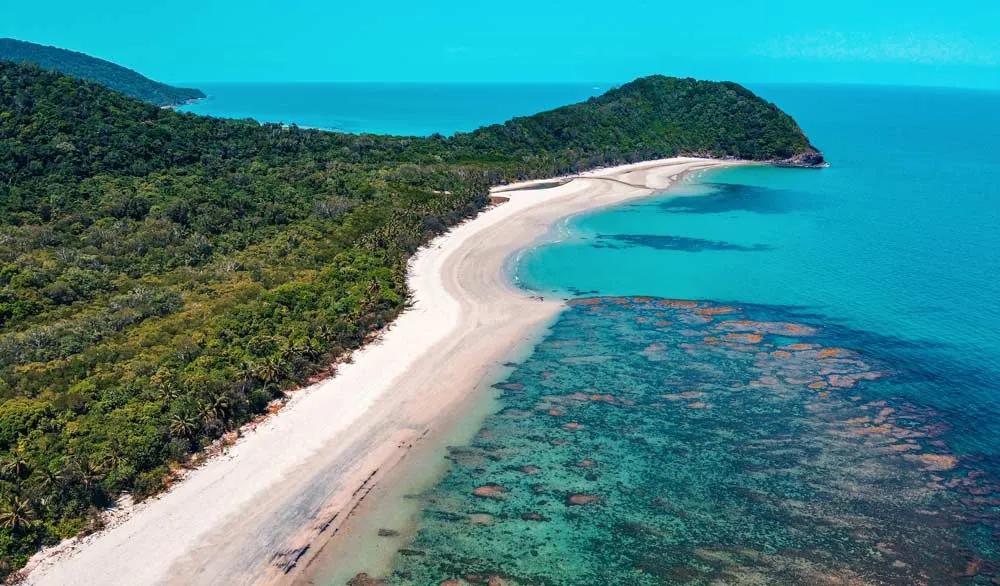 Daintree Rainforest, un impresionante parque nacional que ver en Australia