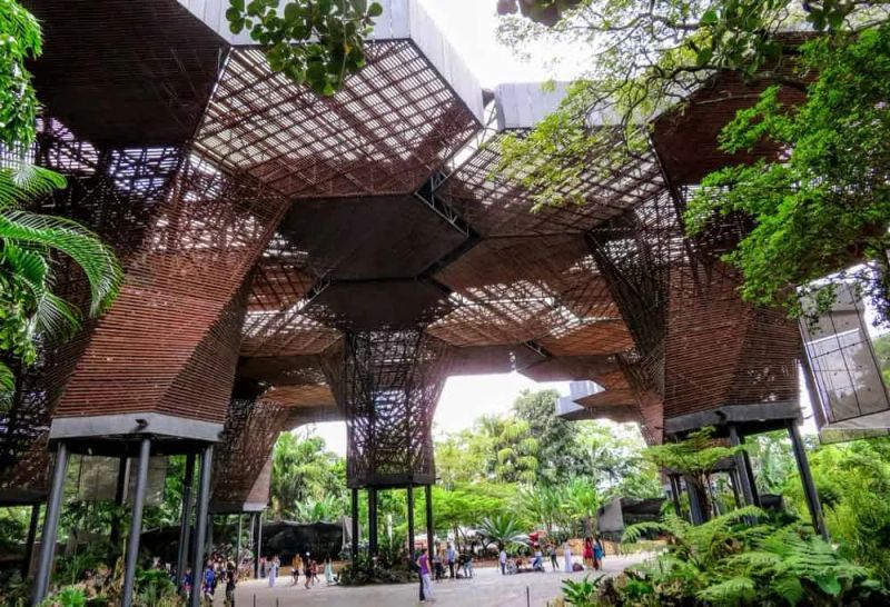 Qué ver y qué hacer en Medellín, Colombia