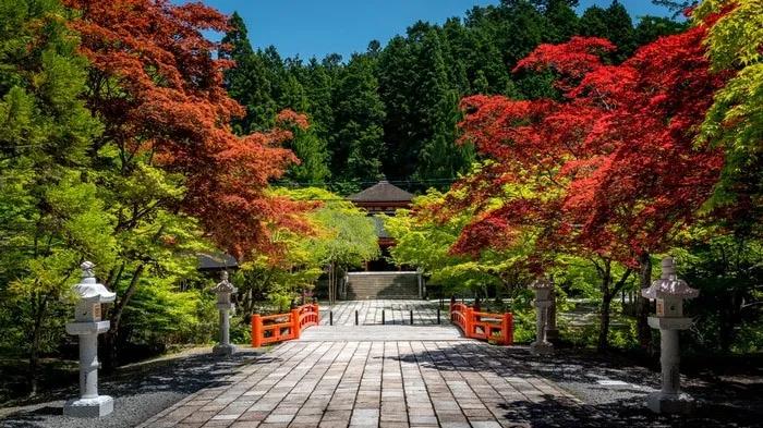 que hacer en Koyasan