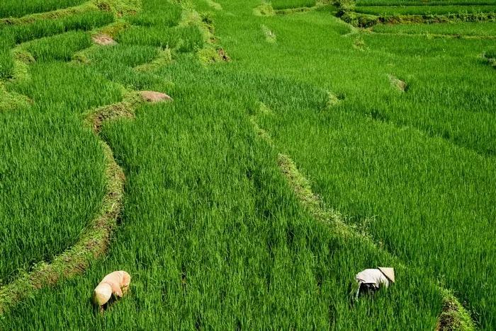 Mai Chau Vietnam