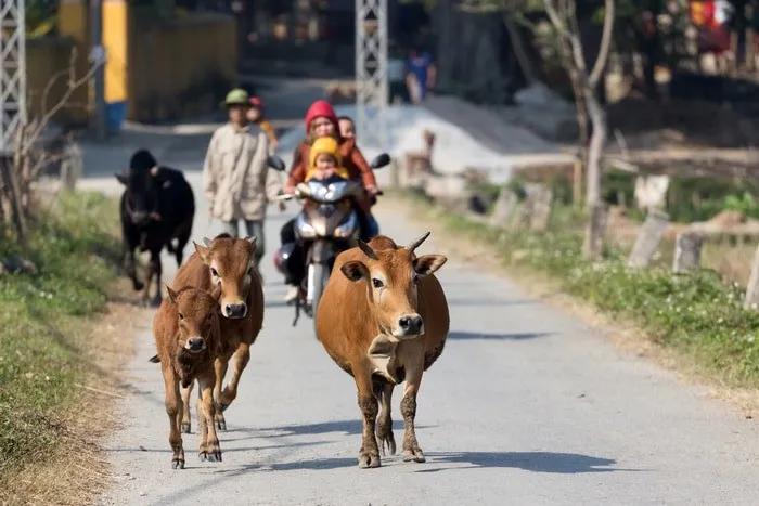 Mai Chau Vietnam
