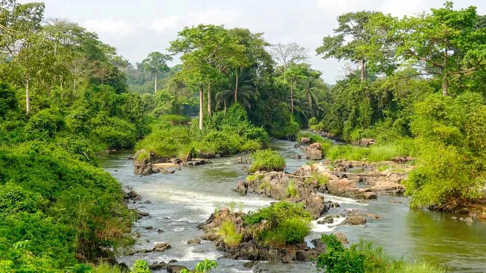 Seguro internacional para viajar a Costa de Marfil
