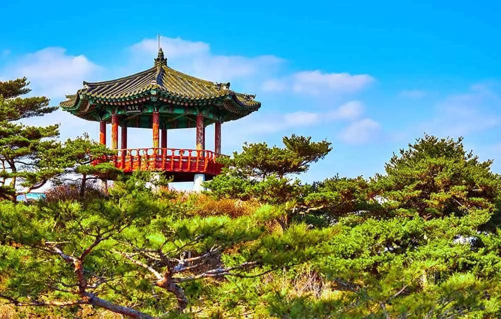 qué seguro para Corea del Sur contratar