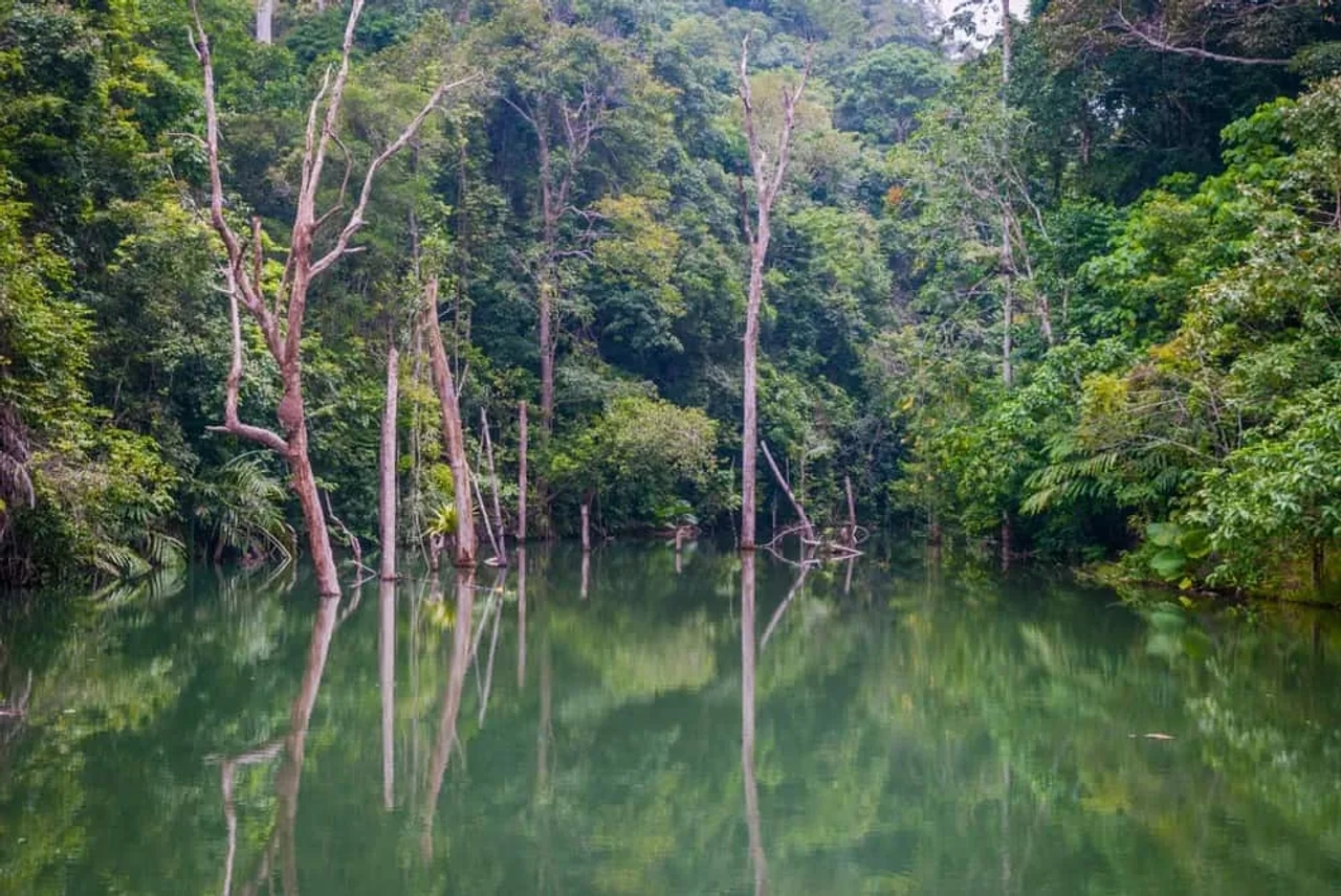 Khlong Chak Waterfall y Bat Cave