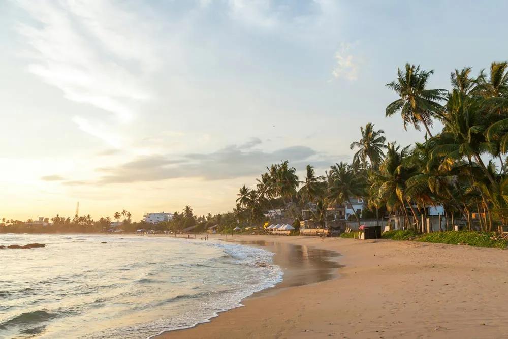 Consejos para viajar a Sri Lanka
