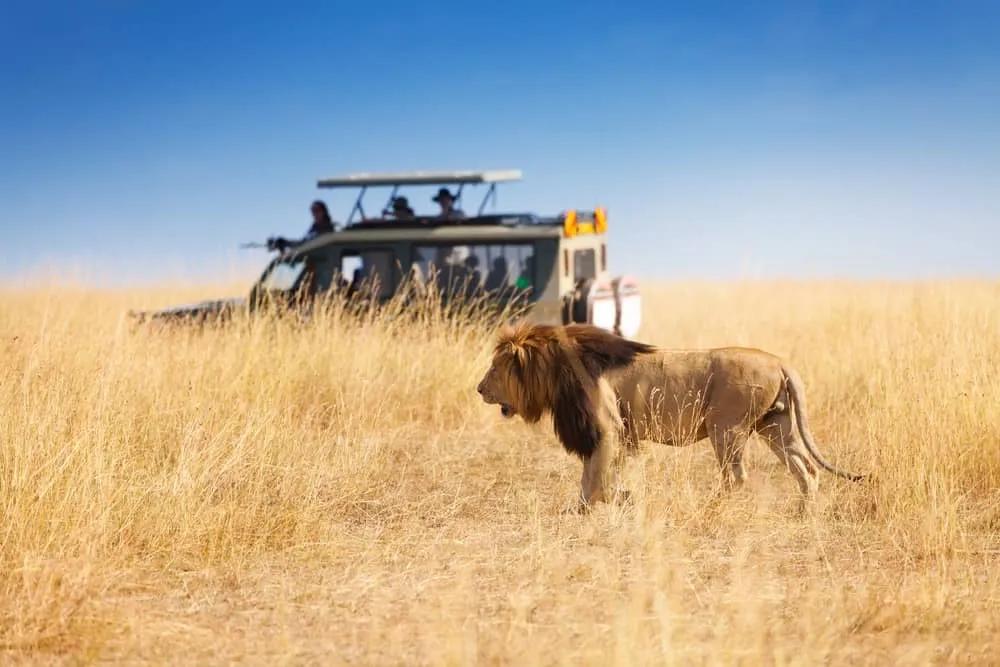Reserva Nacional de Masai Mara Kenia
