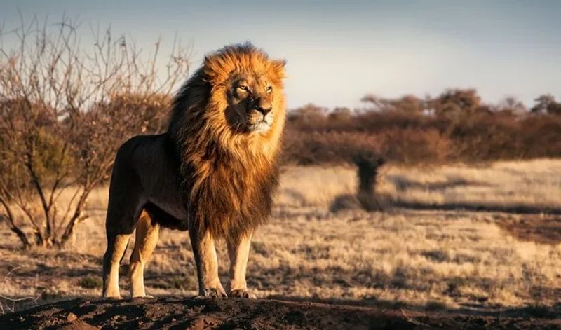 ¿Es seguro viajar a Sudáfrica? 2025