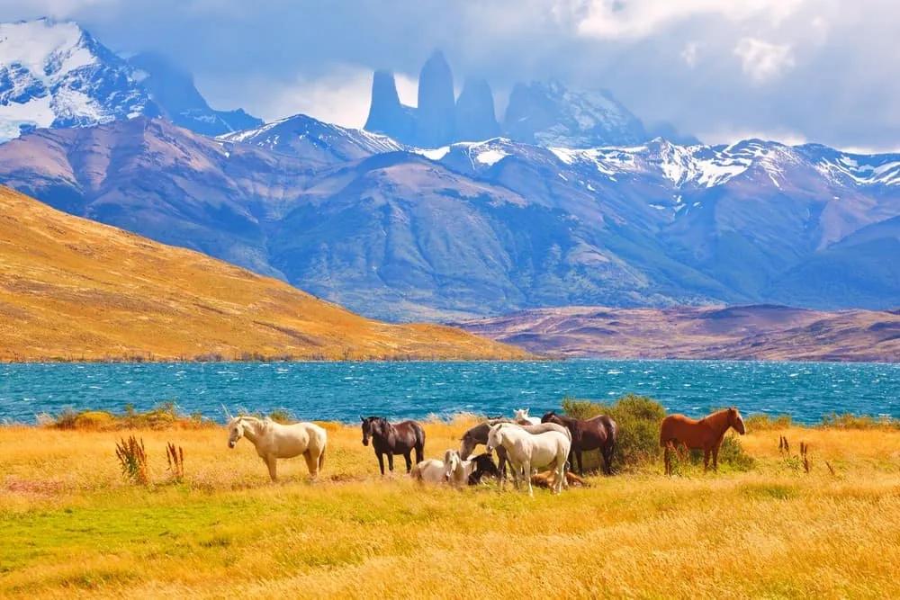 consejos para hacer el Trekking de Torres del Paine