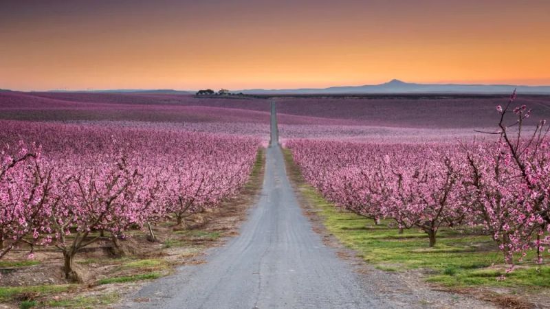 7 sitios espectaculares que visitar en primavera