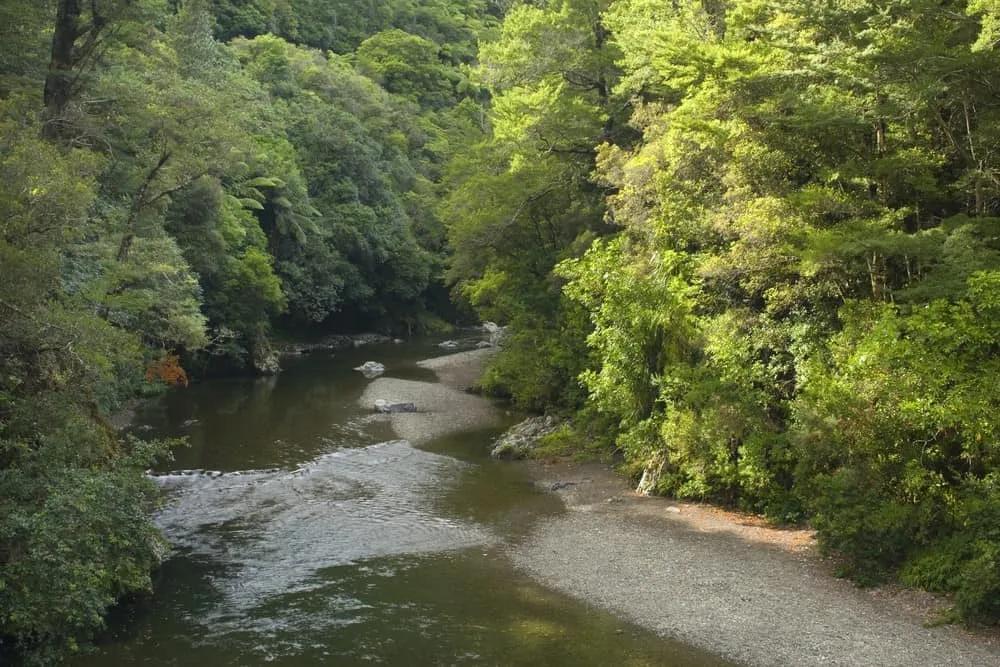 localización de Rivendel en el Señor de los Anillos, Nueva Zelanda