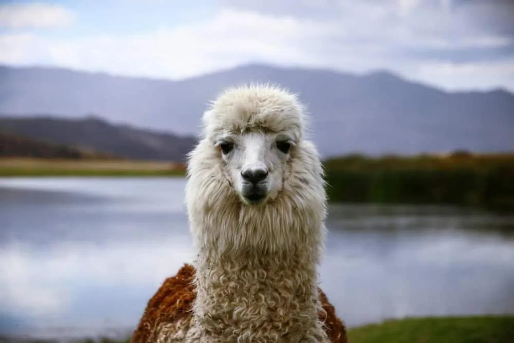 mejor época para visitar el Valle Sagrado de Perú