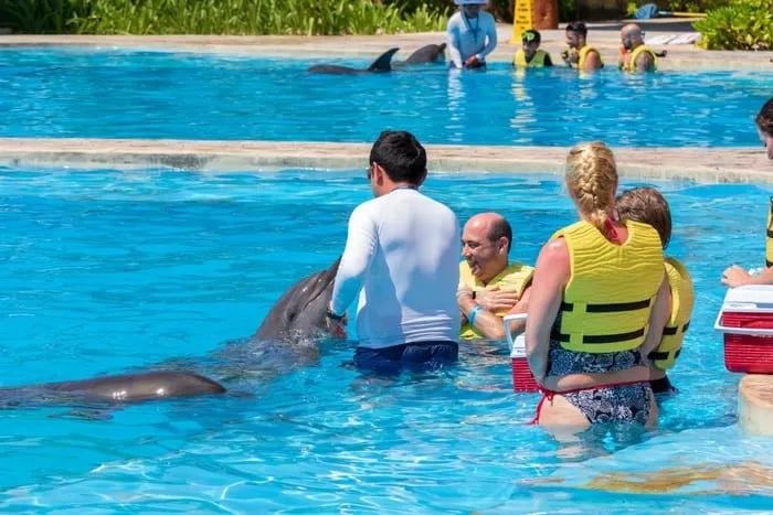 expectativa vs realidad turismo con animales
