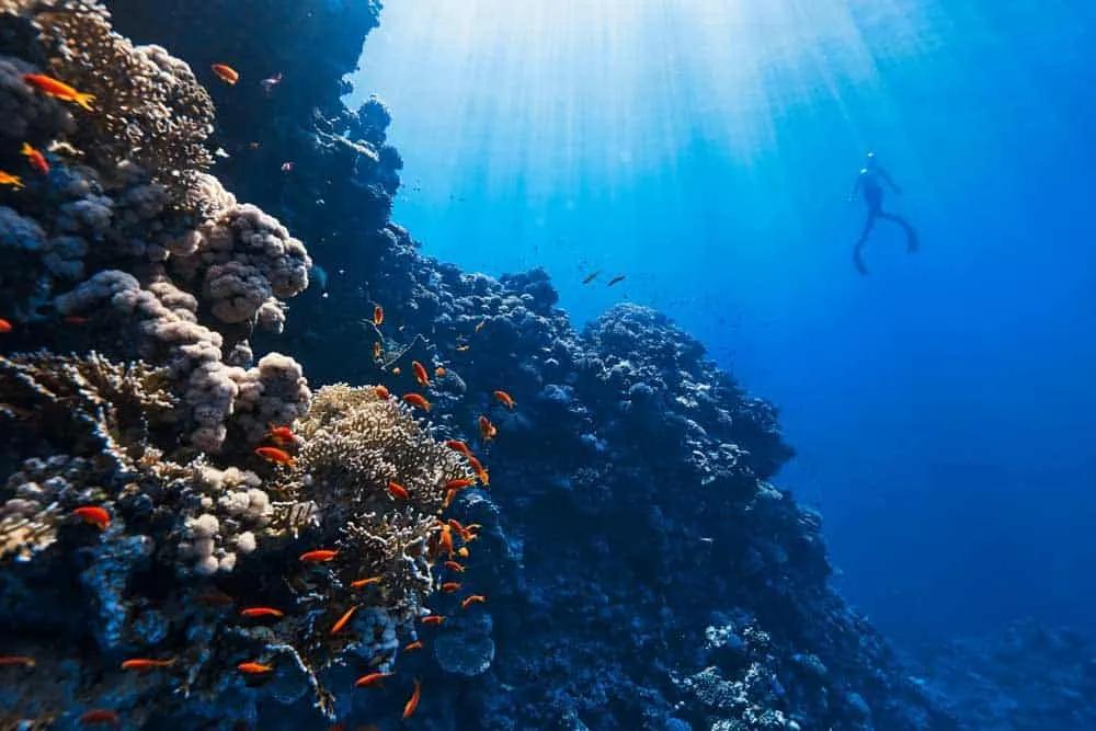 mejores puntos de buceo en Asia