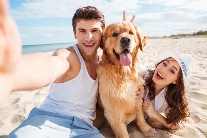 playas para perros