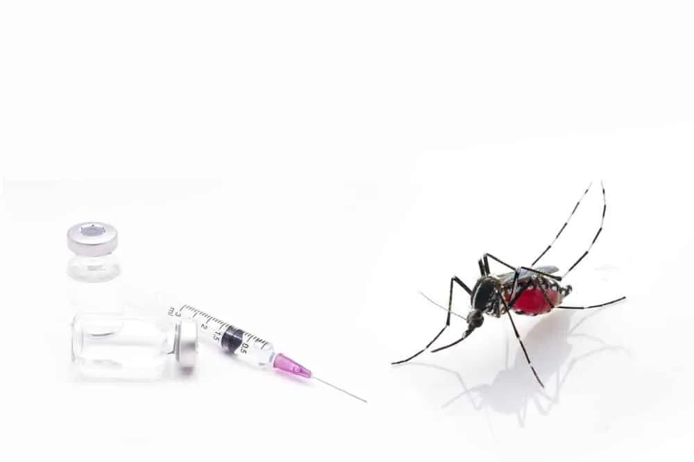 malaria en Bali