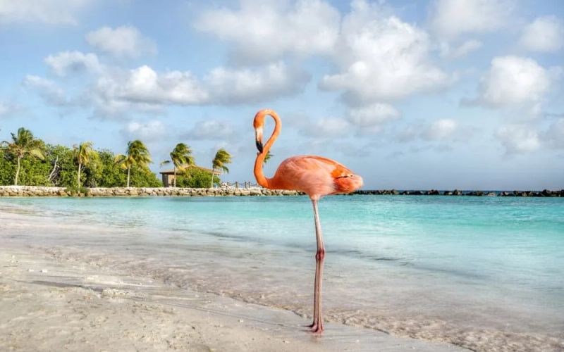 Seguro de viaje a Aruba