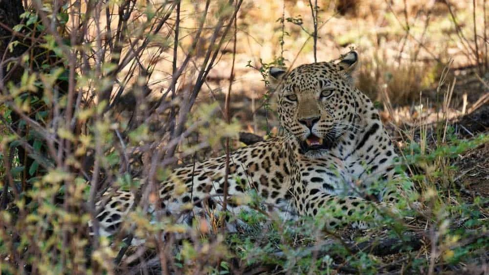 seguro para viajar a Namibia