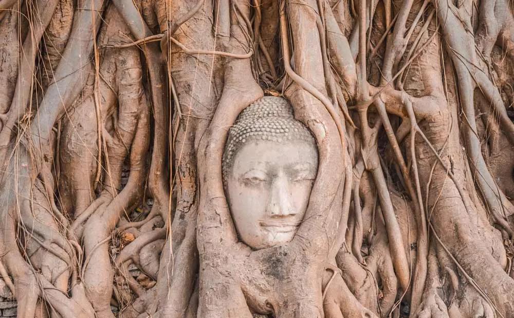Día 3: Ayutthaya y viaje a Chiang Mai