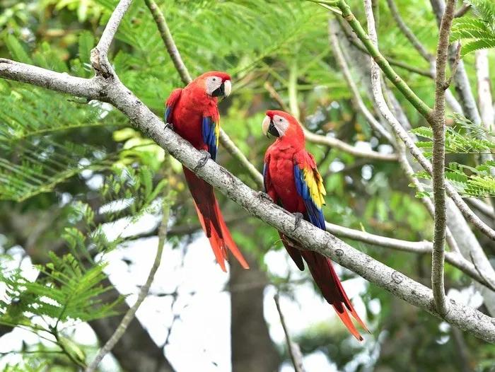 Parques Nacionales de Costa Rica