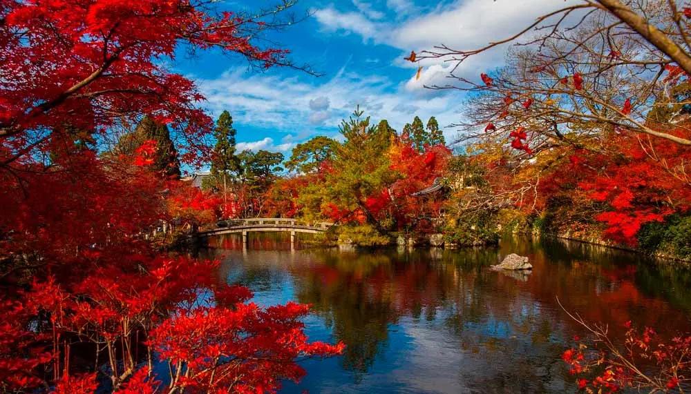 dónde viajar en otoño