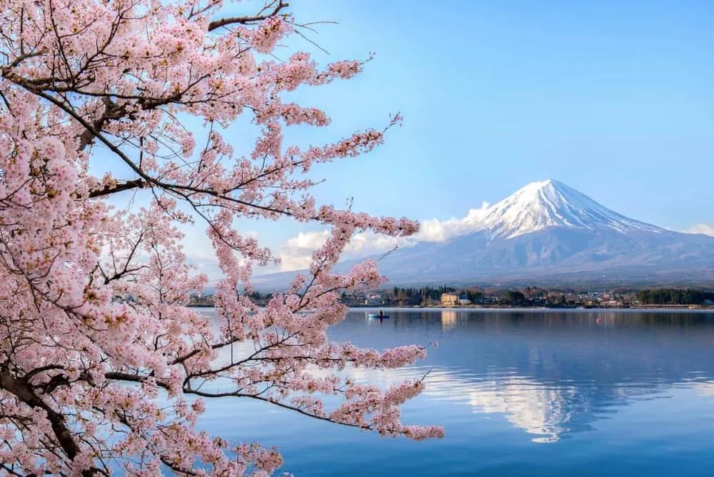 excursión a Kawaguichigo desde Tokio